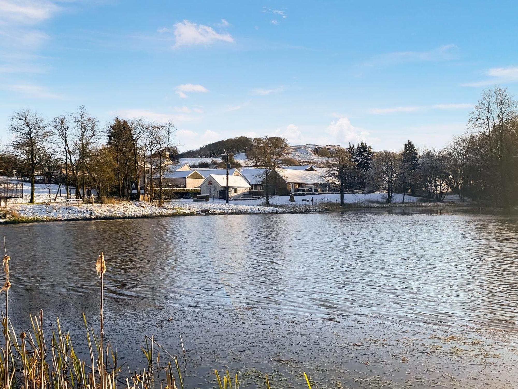 Kite Cottage Llandeilo Dış mekan fotoğraf